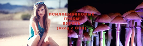 дживик Алексин