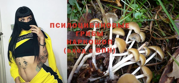 дживик Алексин