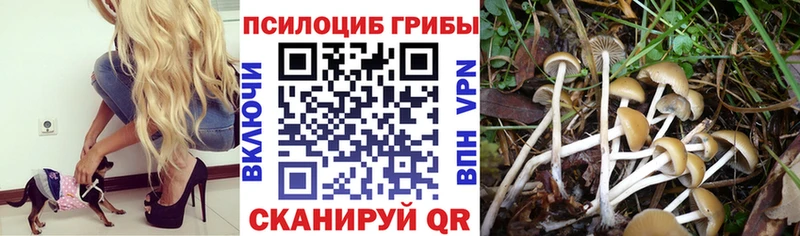 Псилоцибиновые грибы мухоморы  Курган 