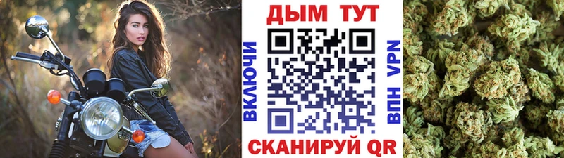 Шишки марихуана планчик  наркошоп  OMG как зайти  Курган 
